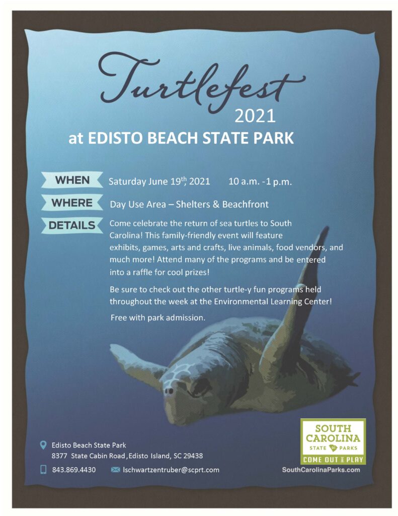 image of Turtle Fest 2021 flyer