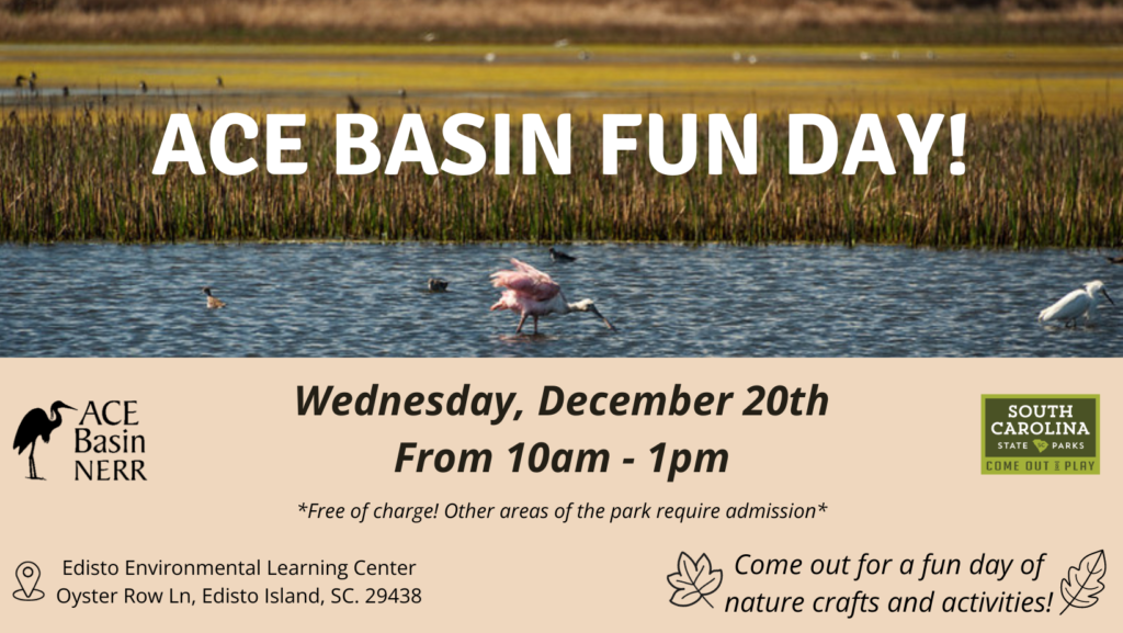 graphic of ace basin fun day 2023 details