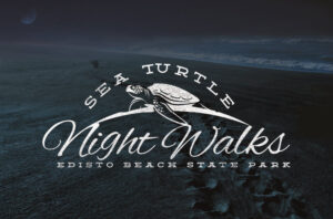 sea-turtle-night-walk-logo